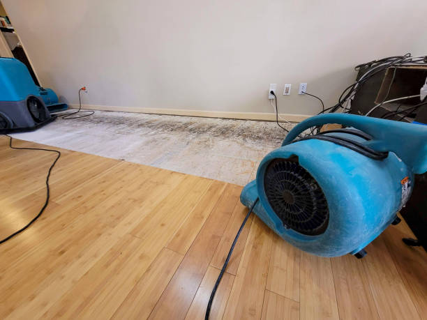 Professional Structural Drying technician working in Holly Springs, NC